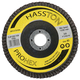 Amplas Flap Disc